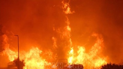 Cháy rừng kỷ lục ở Bỉ đang lan sang Đức