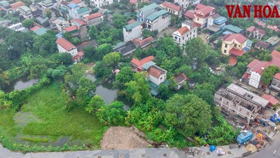 Vi phạm chồng vi phạm?