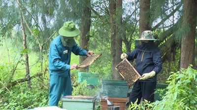 Truy xuất nguồn gốc điện tử: Giải pháp nâng cao giá trị nông sản