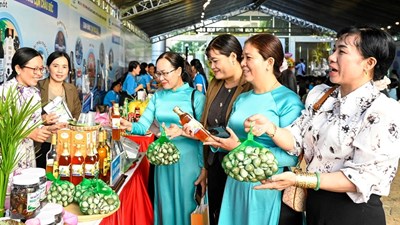 An Giang hỗ trợ phụ nữ phát triển kinh tế tập thể bền vững