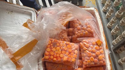 Thu giữ hơn 12 tấn trứng non, sụn gà, mỡ động vật không nguồn gốc xuất xứ