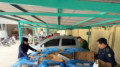 Hà Nội: Phát hiện gần 2 tấn xương lợn không rõ nguồn gốc