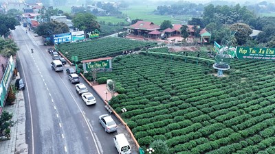 Thái Nguyên thúc đẩy xây dựng nông thôn mới gắn với giảm nghèo bền vững