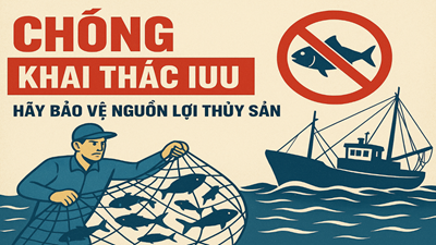 Thủ tướng yêu cầu triển khai quyết liệt các nhiệm vụ, giải pháp cấp bách, trọng tâm chống khai thác IUU