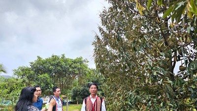 Gia Lai siết chặt quản lý mã số vùng trồng, cơ sở đóng gói