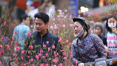 Thời tiết Tết Nguyên đán diễn biến bất ngờ: Miền Bắc có đợt rét tăng cường ngay đầu năm mới, nhiệt độ giảm mạnh ở nhiều nơi