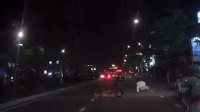 Truy tìm tài xế ô tô gây tai nạn rồi bỏ chạy ở Đà Nẵng