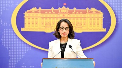 Việt Nam kiên quyết chống lại mọi hành vi gian lận thương mại 
