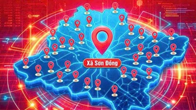 Bản đồ số tra cứu khu vực bầu cử