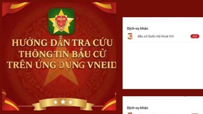 Tra cứu ứng cử viên đại biểu Quốc hội và HĐND các cấp trên ứng dụng VneID