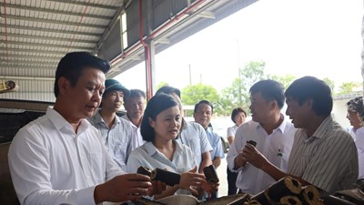 Quảng Trị: Khơi thông nguồn lực, tạo sinh kế bền vững cho người dân