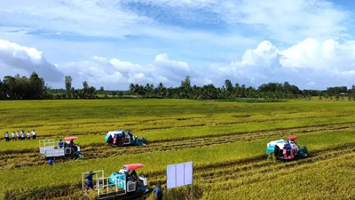 Doanh nghiệp, hiệp hội chung tay giữ nhịp sản xuất nông nghiệp