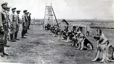 Người lính với đôi tai “ra đa” và trái tim dũng cảm