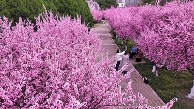 Xu hướng “Đi bộ sắc màu” thay đổi cách giới trẻ Trung Quốc khám phá các đô thị