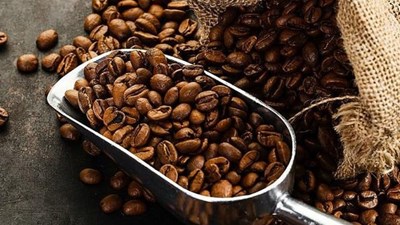 Giá cà phê hôm nay 7.11: Trong nước phục hồi nhẹ, thế giới biến động mạnh