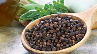 Giá tiêu hôm nay 14.11: Tiêu nội địa giảm đồng loạt, giao dịch quanh 144.000 – 145.500 đồng/kg