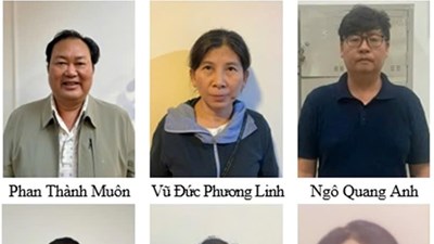 Truy tố cựu Chủ tịch Tập đoàn Hưng Thịnh khai thác titan trái phép hơn 1.500 tỉ đồng