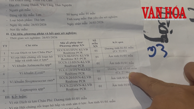 Khi nỗi lo bủa vây cha mẹ