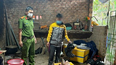 Phát hiện hộ gia đình mua bán lợn chết, giết mổ đưa ra thị trường