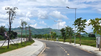 Quảng Ngãi: Hủy kết quả đấu giá 28 lô đất do người trúng không thực hiện nghĩa vụ tài chính