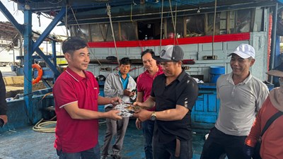 Hai tháng giữa biển khơi, ngư dân Quảng Ngãi thu tiền tỉ từ mực