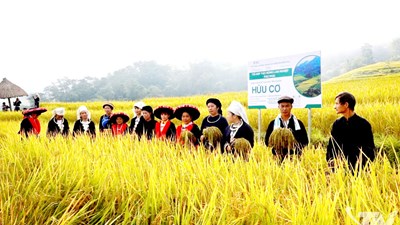 Thái Nguyên quyết tâm vì cuộc sống no ấm cho mọi người dân