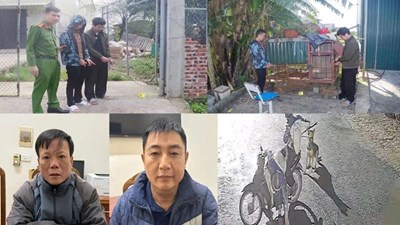 Truy bắt ổ nhóm trộm chó manh động trong đêm khuya