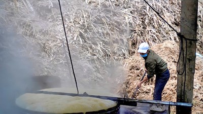 “Thủ phủ” mật mía xứ Thanh đỏ lửa tất bật vào vụ Tết