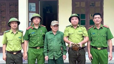 Phát hiện rùa núi viền quý hiếm, người dân giao nộp cơ quan chức năng