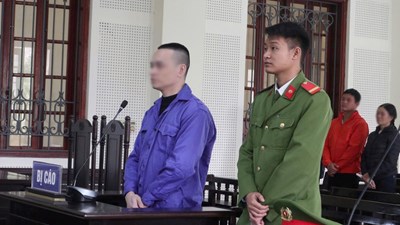 Phiên dịch tiếp tay lừa đảo chiếm đoạt hơn 3,5 tỉ, lĩnh 15 năm tù