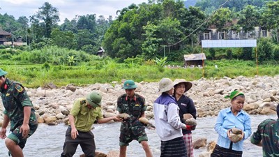 Dựng “lá chắn” chống sạt lở bên dòng Nậm Giải trước mùa mưa lũ