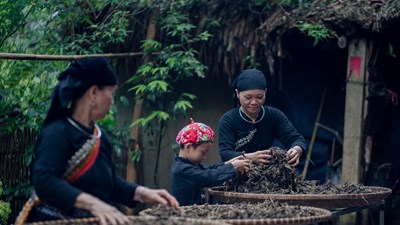 “Đòn bẩy” giúp Thái Nguyên thúc đẩy giảm nghèo bền vững