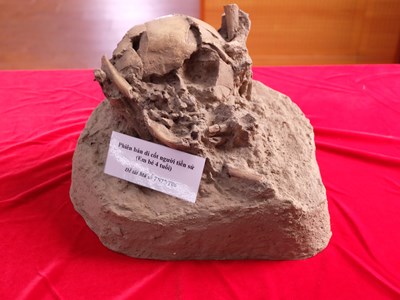 Bước ngoặt của ngành cổ nhân học Việt Nam