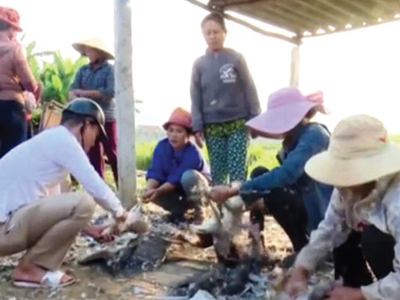 Nghệ An: Tận diệt chim trời