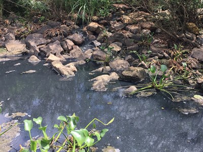 Xử phạt 66 triệu đồng đối với công ty Fococev Quảng Bình vì xả nước thải ra môi trường