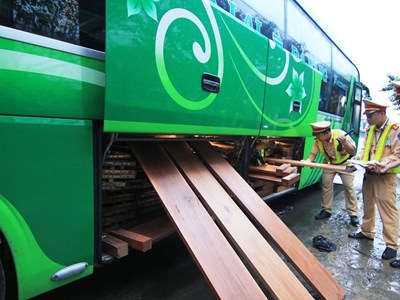 Quảng Nam: Phát hiện 2 xe khách chở hơn 10m3 gỗ lậu