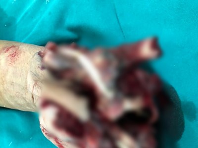 Ăn tất niên, cẩn trọng nổ bình ga mini