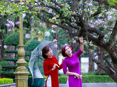 Hoa ban nở rộ khắp phố, chị em nườm nượp "đọ sắc" cùng hoa