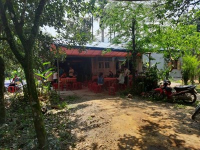 Quảng Nam: Đi lấy mật, một người đàn ông bị ong đốt thiệt mạng