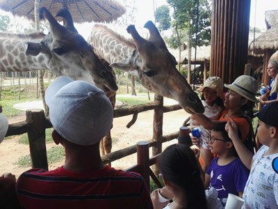 Phú Quốc – đến để thân thiện với động vật và tĩnh lặng ngắm hoàng hôn