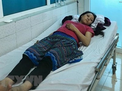 Lai Châu: Ăn nhầm nấm độc, cả gia đình phải nhập viện cấp cứu