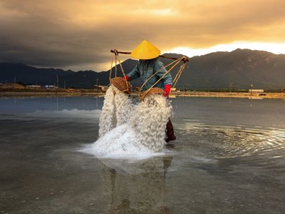 Du lịch Ninh Thuận: Thành quả ngọt ngào từ những đột phá