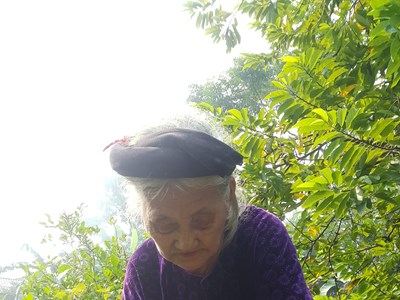 “Giấc mơ” có thực của cụ Mơ