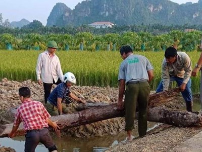 Phát hiện hai cọc gỗ cổ bên sông Bạch Đằng