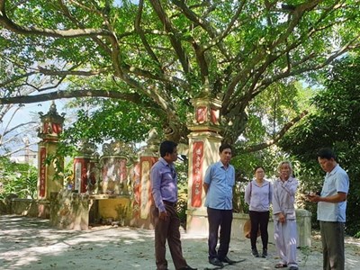 Khu rừng nguyên sinh và hệ thống di tích ở Trung Sơn (Hoà Vang - Đà Nẵng): Bỏ dự án, giữ di tích và thiên nhiên