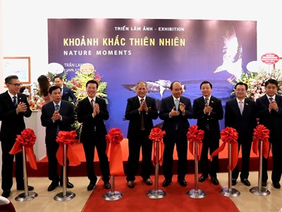 “Khoảnh khắc thiên nhiên” là thông điệp sâu sắc về bảo vệ môi trường
