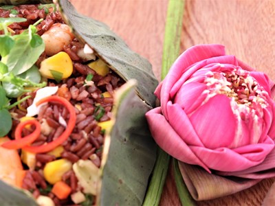 Tôn vinh hạt gạo Việt Nam