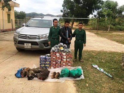 Bắt giữ đối tượng vận chuyển hàng trăm kg pháo lậu và động vật hoang dã