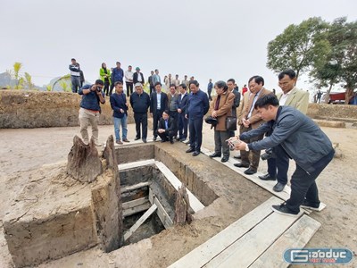 Phát hiện bãi cọc Cao Quỳ (Thủy Nguyên - Hải Phòng): Nghìn thu soi rạng giống dòng quang vinh