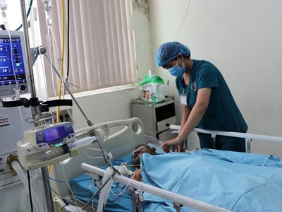 Quảng Ngãi: Ngộ độc cá nóc, 1 người tử vong, 5 người nguy kịch